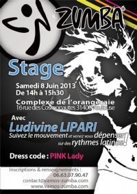 Stage de Zumba. Le samedi 8 juin 2013 à Toulouse. Haute-Garonne. 